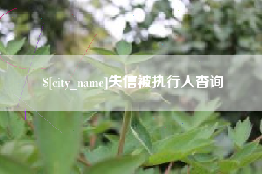 永春失信被执行人杳询