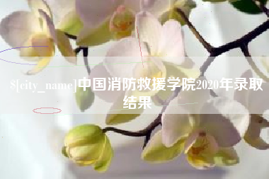 永春中国消防救援学院2020年录取结果