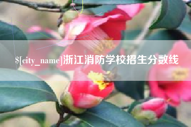永春浙江消防学校招生分数线