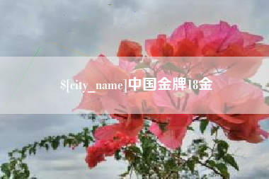 永春中国金牌18金