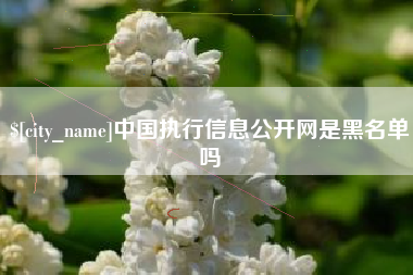 永春中国执行信息公开网是黑名单吗