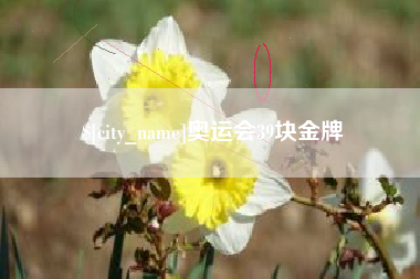 永春奥运会39块金牌