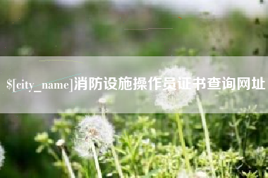 永春消防设施操作员证书查询网址