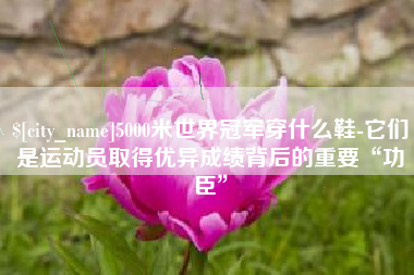 永春5000米世界冠军穿什么鞋-它们是运动员取得优异成绩背后的重要“功臣”