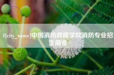 永春中国消防救援学院消防专业招生简章