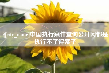 永春中国执行案件查询公开网都是执行不了得案子