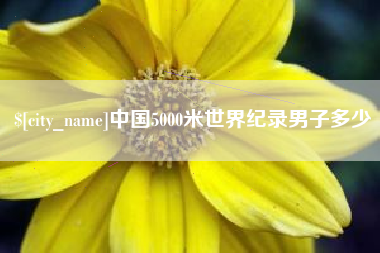 永春中国5000米世界纪录男子多少