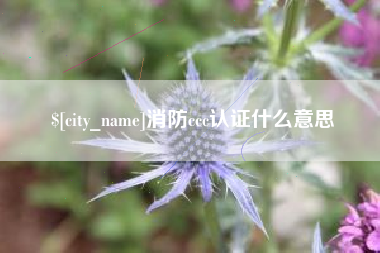 永春消防ccc认证什么意思