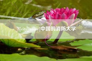 永春中国的消防大学