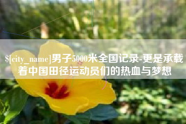 永春男子5000米全国记录-更是承载着中国田径运动员们的热血与梦想