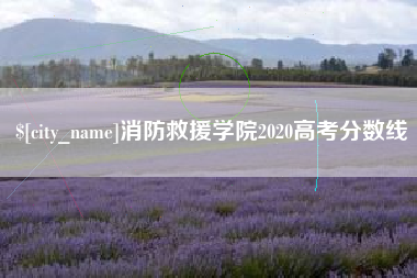 永春消防救援学院2020高考分数线