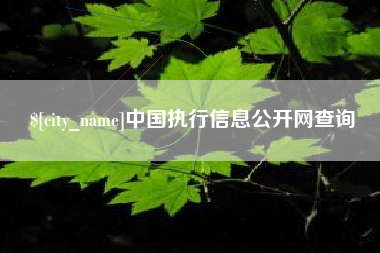 永春中国执行信息公开网查询
