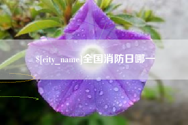永春全国消防日哪一