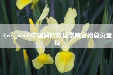 永春中国消防救援学院官网首页查询