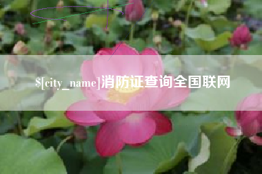 永春消防证查询全国联网
