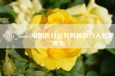 永春中国执行公开网被执行人名单查询