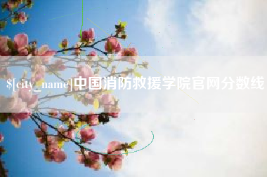 永春中国消防救援学院官网分数线