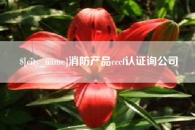 永春消防产品cccf认证询公司