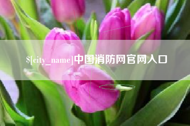 永春中国消防网官网入口