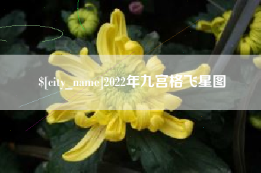 永春2022年九宫格飞星图