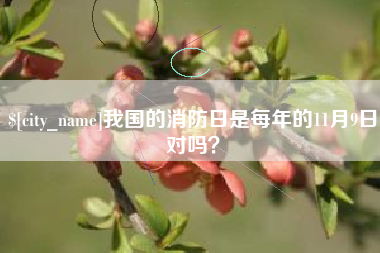 永春我国的消防日是每年的11月9日对吗？