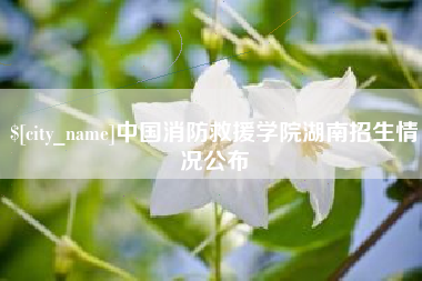 永春中国消防救援学院湖南招生情况公布