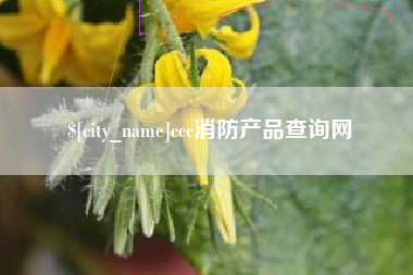 永春ccc消防产品查询网