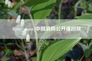 永春中国消防公开课回放