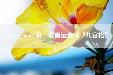 永春第一波奥运金牌“九宫格”