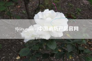 永春中国消防产品官网