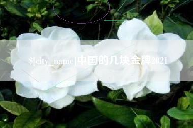 永春中国的几块金牌2021