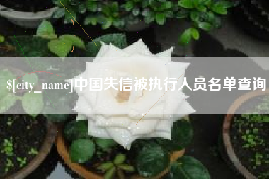 永春中国失信被执行人员名单查询
