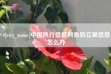 永春中国执行信息网查到立案信息怎么办