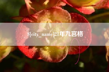 永春21年九宫格