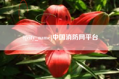 永春中国消防网平台