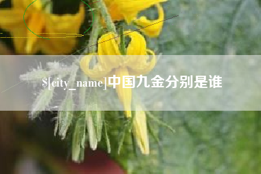 永春中国九金分别是谁