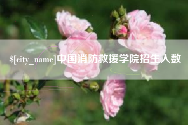 永春中国消防救援学院招生人数