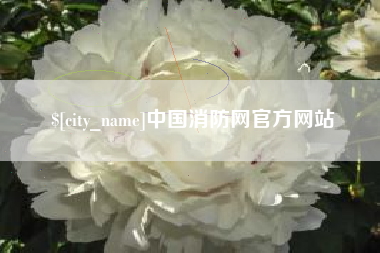 永春中国消防网官方网站