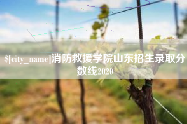 永春消防救援学院山东招生录取分数线2020