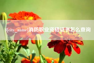永春消防职业资格证书怎么查询