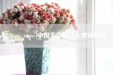 永春中国失信执行人查询官网