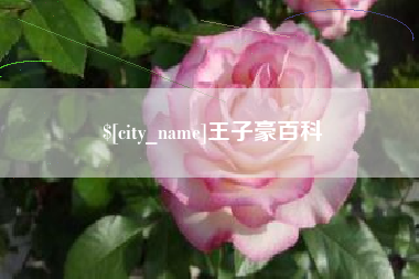 永春王子豪百科