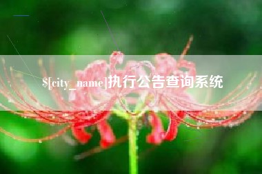 永春执行公告查询系统