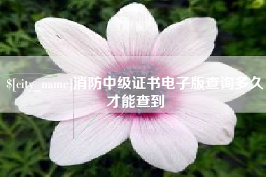 永春消防中级证书电子版查询多久才能查到