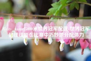 永春5000米世界冠军配速-世界冠军们往往能在比赛中巧妙地分配体力