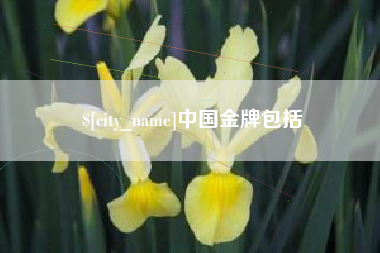 永春中国金牌包括