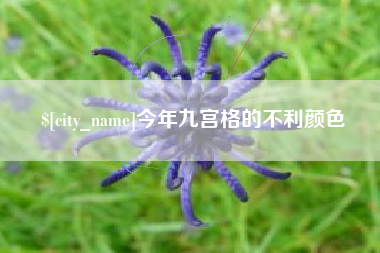 永春今年九宫格的不利颜色