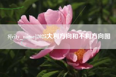 永春2025大利方向和不利方向图