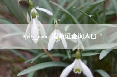永春消防证查询入口