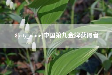永春中国第九金牌获得者
